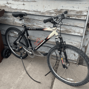 2005 Schwinn Moab