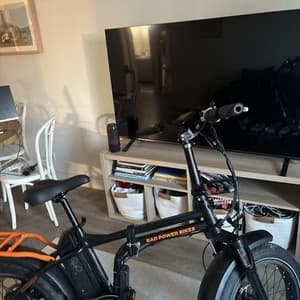 2020 Rad Power Bikes Rad Mini 4
