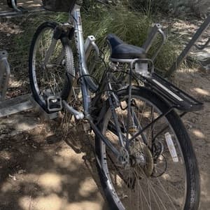 Raleigh Raleigh SC30 Hybrid/City Womens Bike